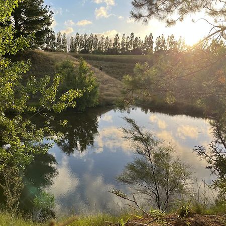 A Cabin With A Big View, Comfort And Tranquility, Close To Vines Мартинбъро Екстериор снимка
