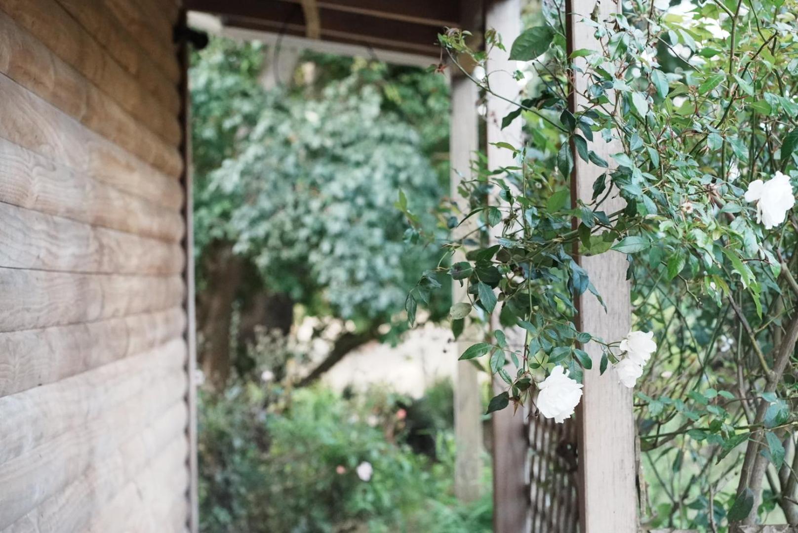 A Cabin With A Big View, Comfort And Tranquility, Close To Vines Мартинбъро Екстериор снимка