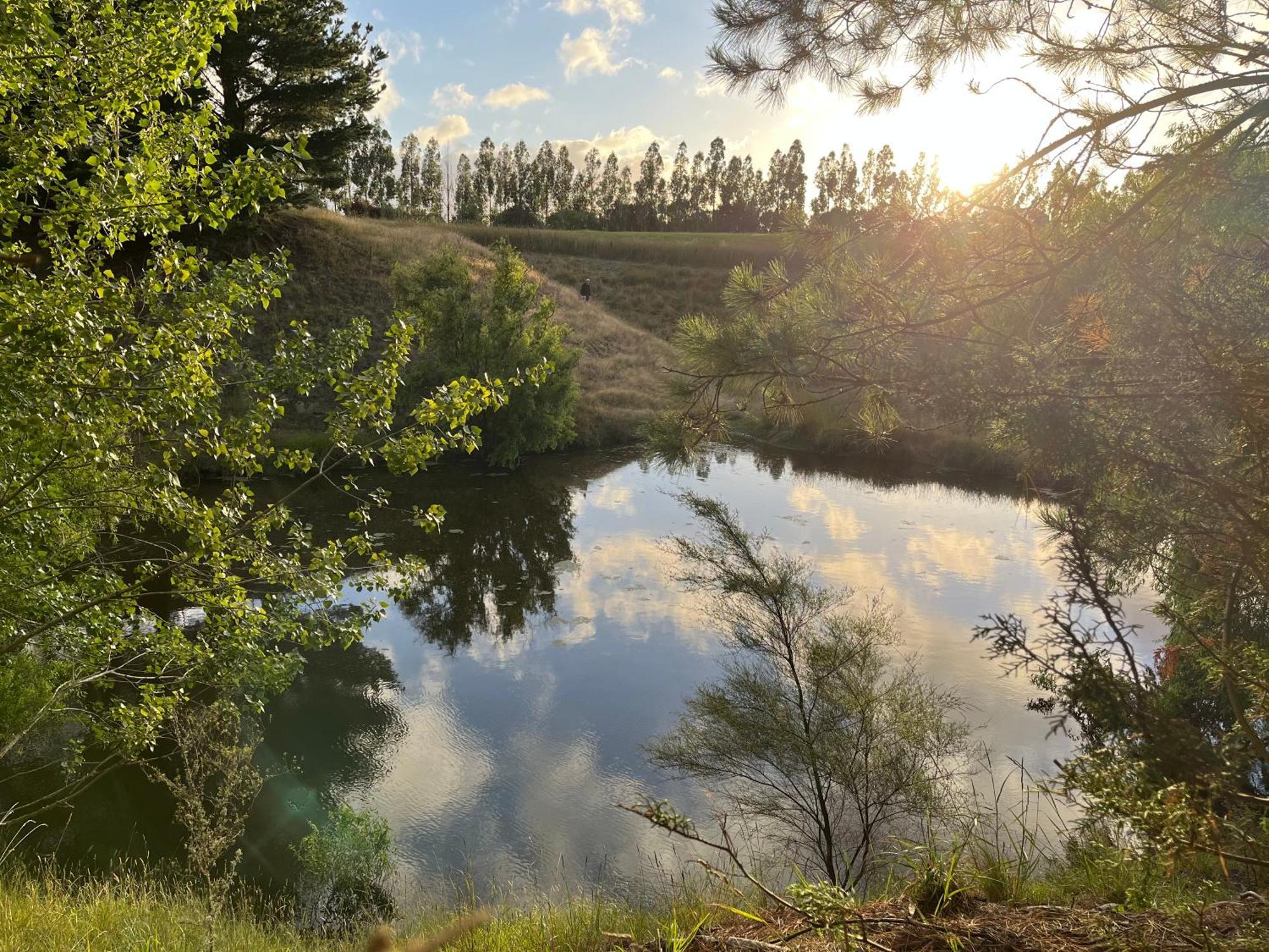A Cabin With A Big View, Comfort And Tranquility, Close To Vines Мартинбъро Екстериор снимка